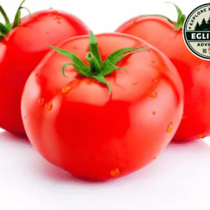 Tomate
