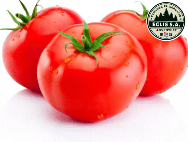 Tomate