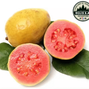 Guayaba