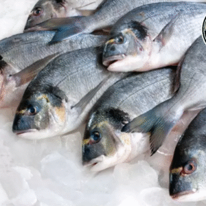 Pescado