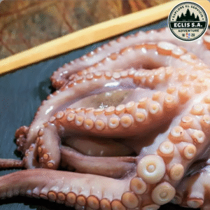 Pulpo